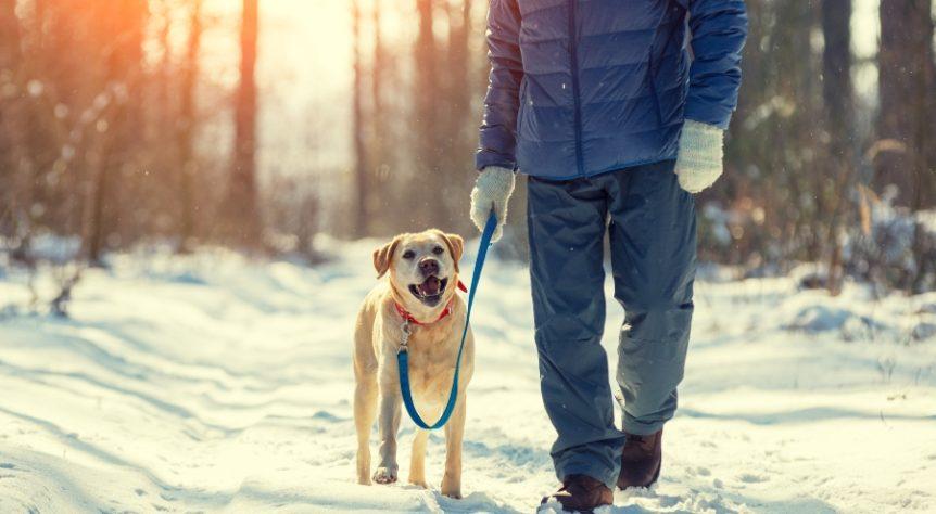 Bekleidung fuer Hundehalter