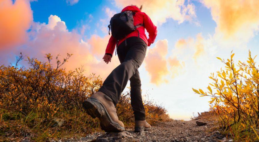 Hosen in Langgröße