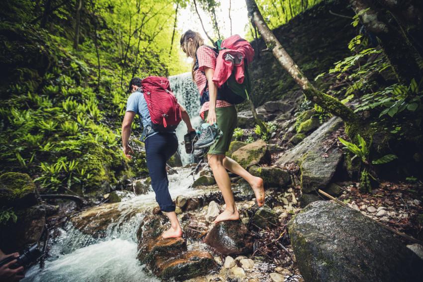 Wenn Harz an die Kleidung gerät, kannst du dieses einfach mit Butter entfernen Wandern im Wald