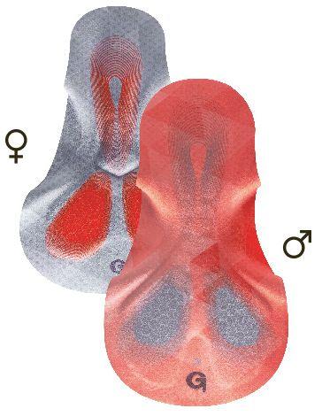 Gonso Herren Radträgerhose Teglio V2 | Gonso Dry Up Air Polster Gonso Herren Radträgerhose Teglio V2 | Gonso Dry Up Polster