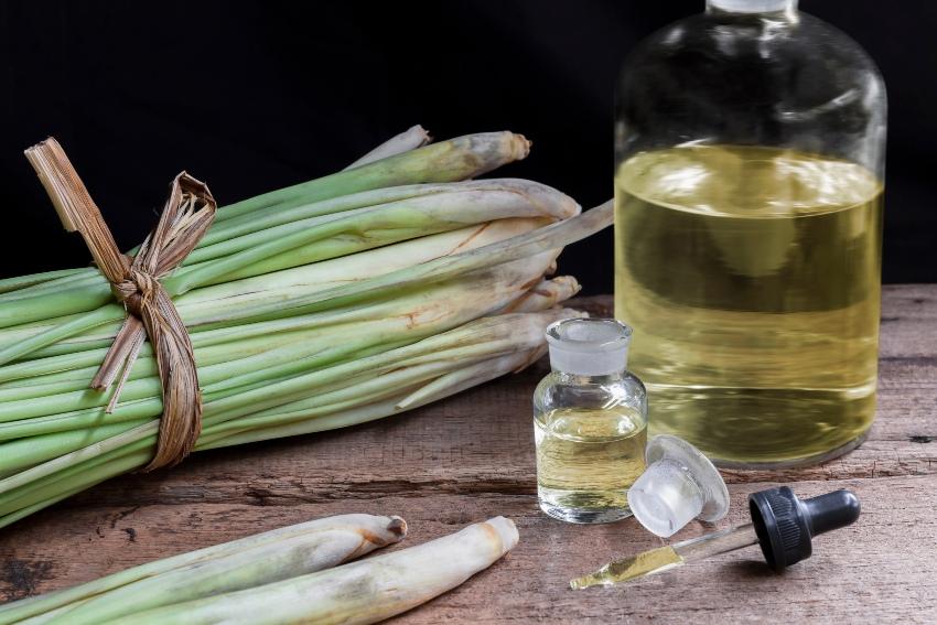 Es gibt ein paar Hausmittel, wie Citronella-Öl, die man ausprobieren kann Citronella-Oel